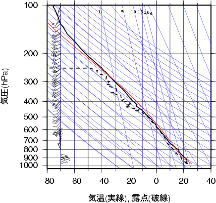 エマグラム画像