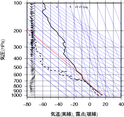 エマグラム画像