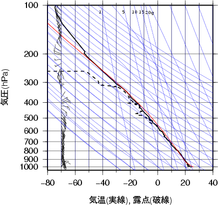 エマグラム画像