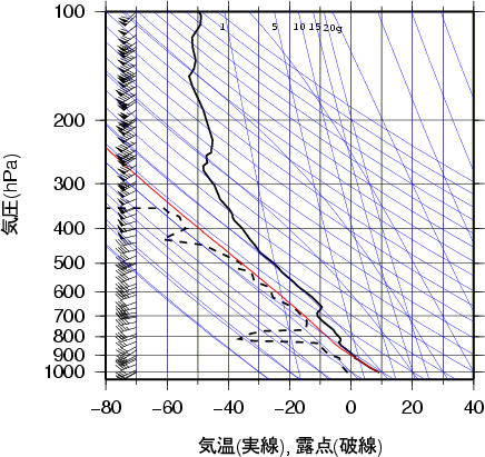 エマグラム画像