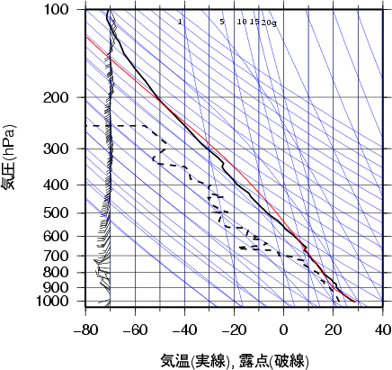 エマグラム画像