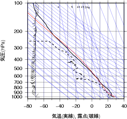 エマグラム画像