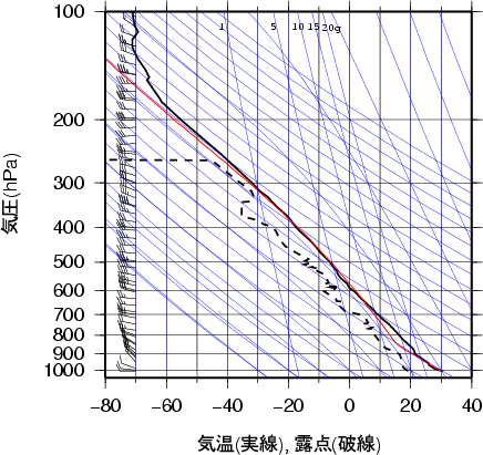 エマグラム画像