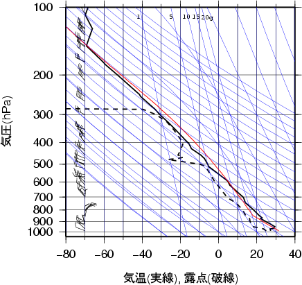 エマグラム画像