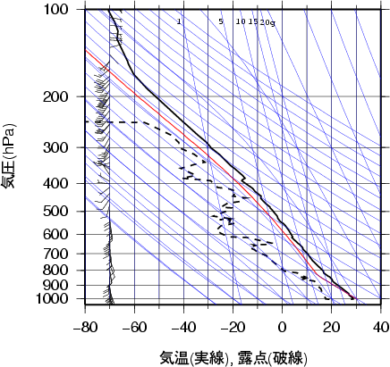 エマグラム画像