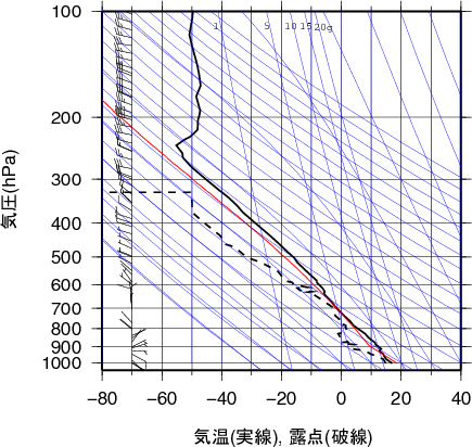 エマグラム画像