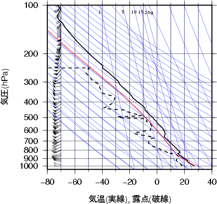 エマグラム画像