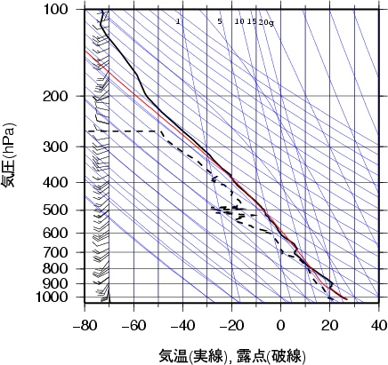 エマグラム画像