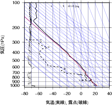 エマグラム画像