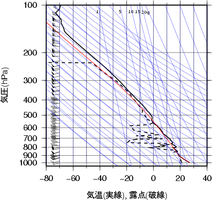 エマグラム画像