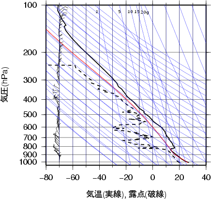 エマグラム画像