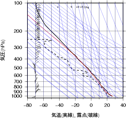 エマグラム画像