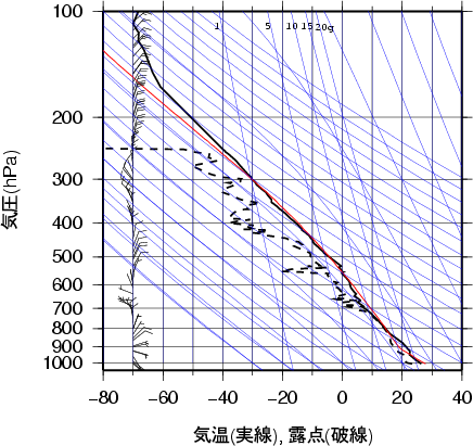 エマグラム画像