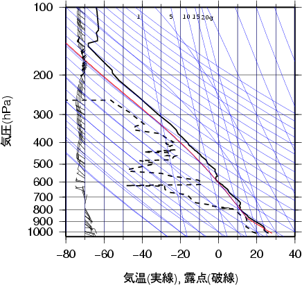 エマグラム画像