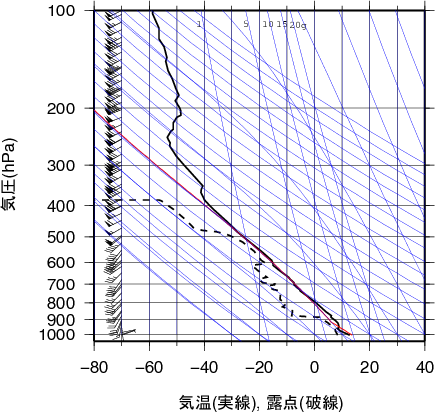 エマグラム画像