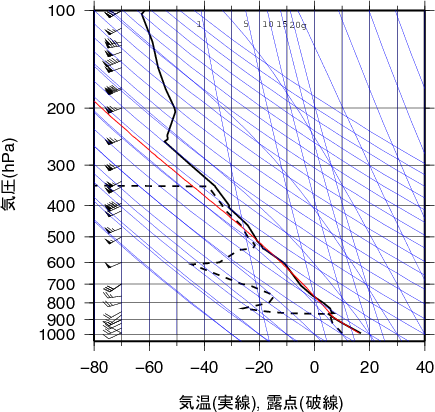 エマグラム画像