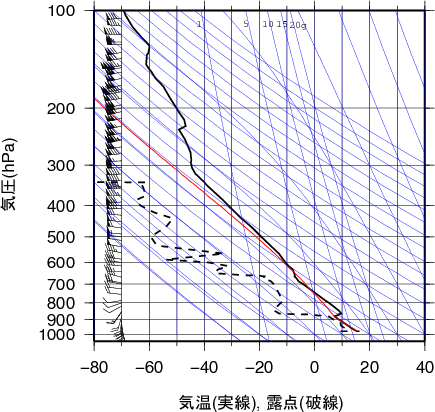 エマグラム画像