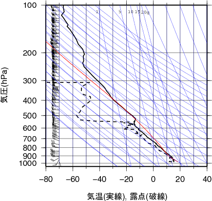 エマグラム画像