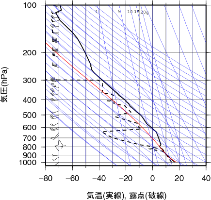 エマグラム画像