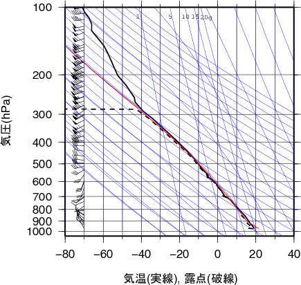 エマグラム画像