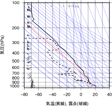 エマグラム画像