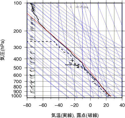 エマグラム画像