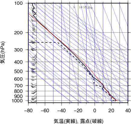 エマグラム画像