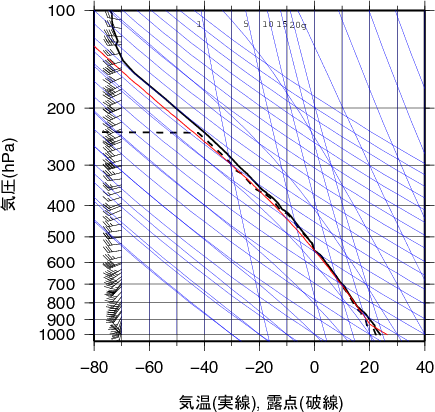 エマグラム画像