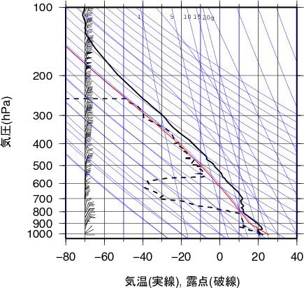 エマグラム画像