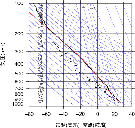 エマグラム画像