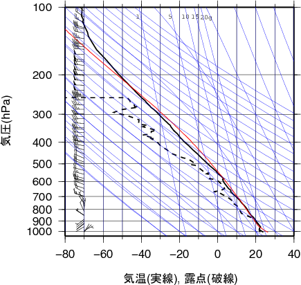 エマグラム画像