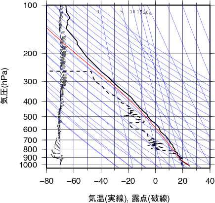 エマグラム画像