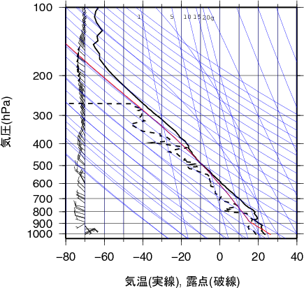 エマグラム画像