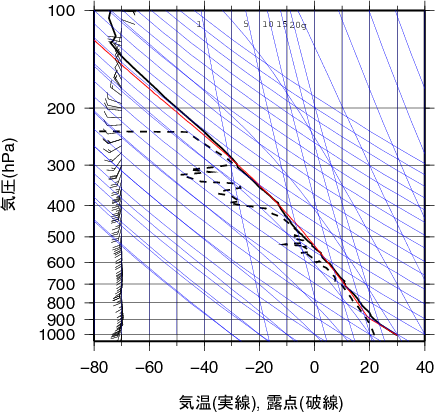 エマグラム画像