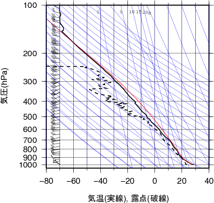 エマグラム画像