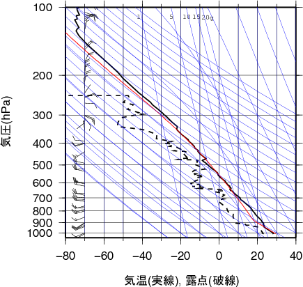 エマグラム画像