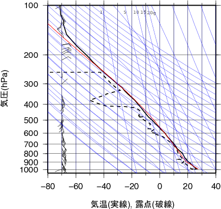 エマグラム画像