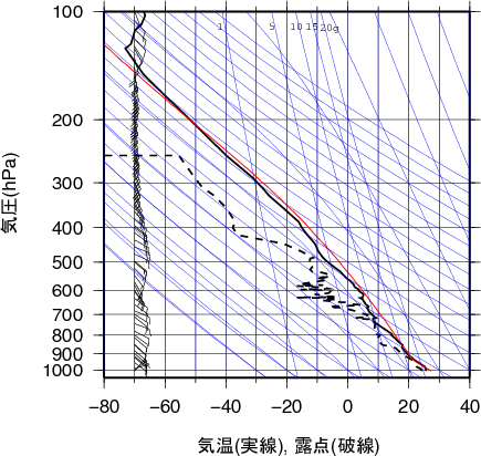 エマグラム画像