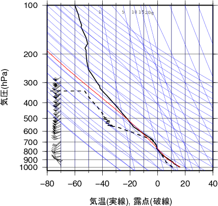 エマグラム画像