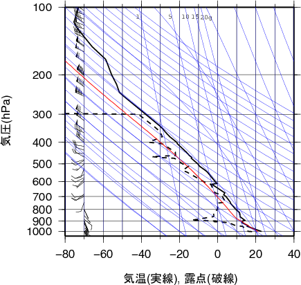 エマグラム画像