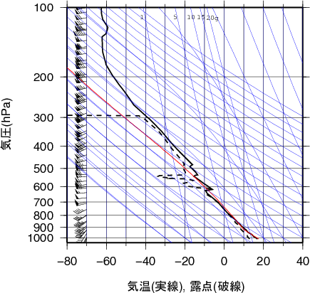 エマグラム画像