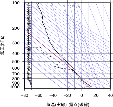 エマグラム画像