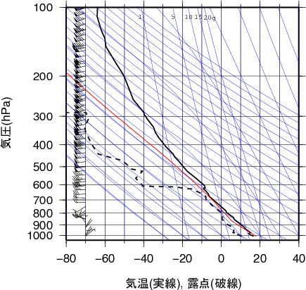 エマグラム画像