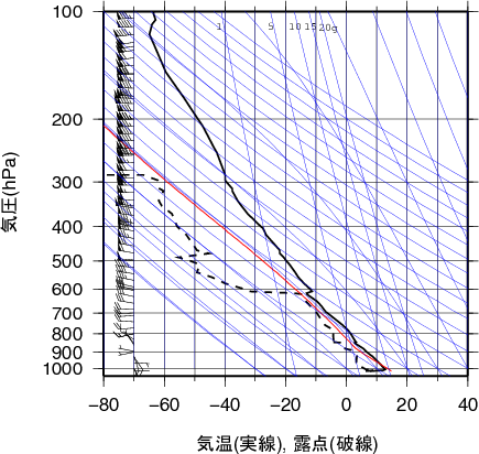 エマグラム画像