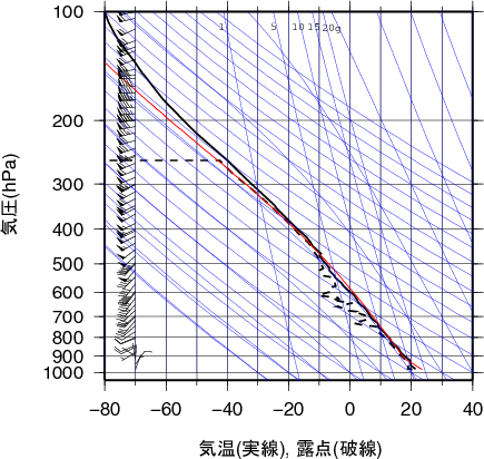 エマグラム画像