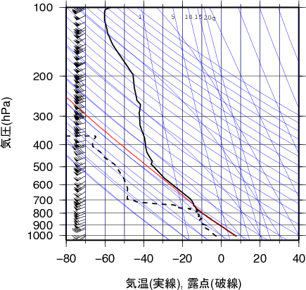 エマグラム画像