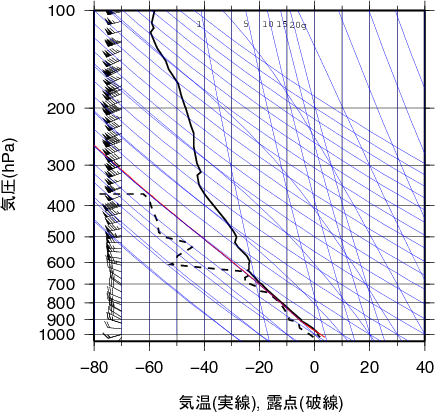 エマグラム画像