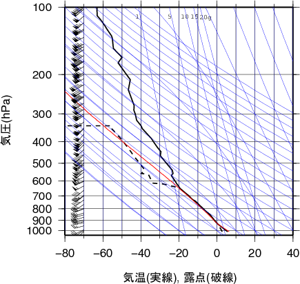 エマグラム画像