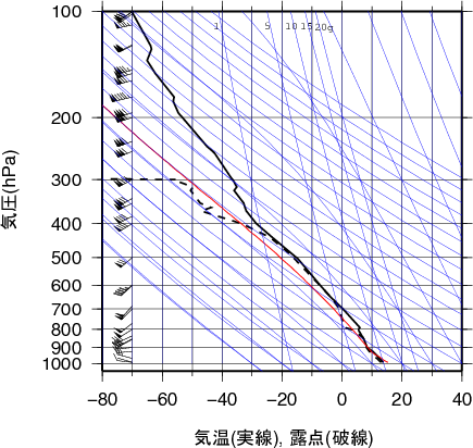 エマグラム画像