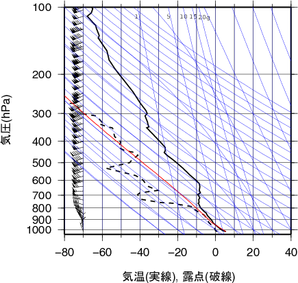 エマグラム画像